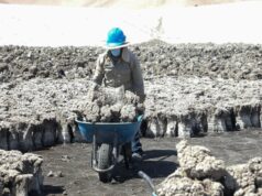 Buscan reducir niveles de arsénico en lodos de PTAR para reutilizarlos en la agricultura, minería y construcción