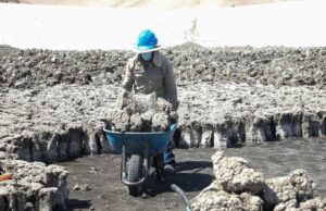 Buscan reducir niveles de arsénico en lodos de PTAR para reutilizarlos en la agricultura, minería y construcción