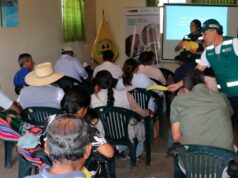 SERFOR impulsa modelos de éxito para fortalecer la cadena productiva de la tara en el Perú