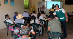 SERFOR impulsa modelos de éxito para fortalecer la cadena productiva de la tara en el Perú