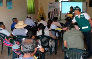 SERFOR impulsa modelos de éxito para fortalecer la cadena productiva de la tara en el Perú