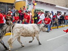 Pachacámac celebra su tradicional Pamplonada 2025