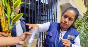 El ABC del dengue para frenar al Aedes aegypti