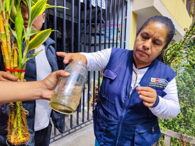El ABC del dengue para frenar al Aedes aegypti