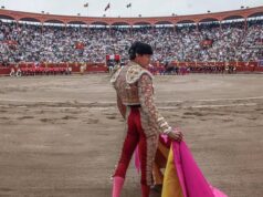 La morada de Acho vuelve a latir: Comienza la Feria del Señor de los Milagros