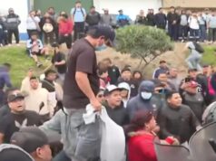 Transportistas del Callao convocan a paro para el lunes 3 de noviembre