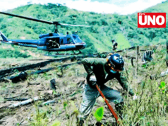 Ministerio del Interior supera meta anual con erradicación de 34 mil hectáreas de coca ilegal