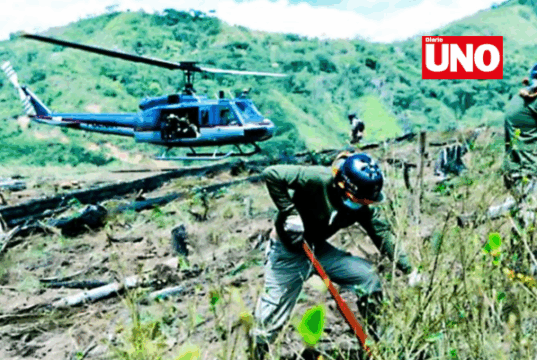 Ministerio del Interior supera meta anual con erradicación de 34 mil hectáreas de coca ilegal