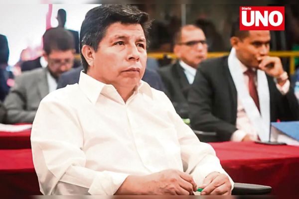 Copia de MODELO DIARIO UNO (4)