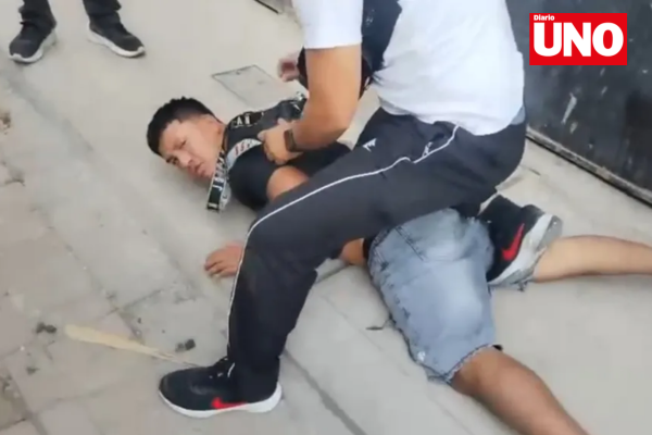 Copia de MODELO DIARIO UNO (5)