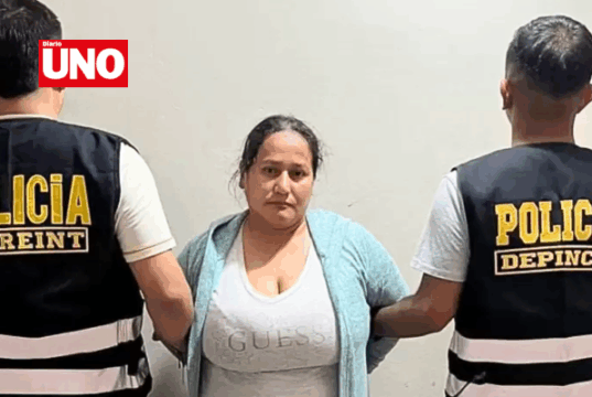 Poder Judicial ordena prisión preventiva contra mujer que secuestró bebé en hospital de Ica