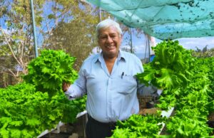 Operativo “Verte otra vez” de Hospital Perú de EsSalud devolvió la vista y la esperanza a agricultor de Tarapoto