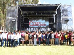 Festicamélidos Cusco 2025: Un evento que revalora la cadena de alpacas, llamas y vicuñas