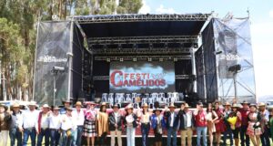 Festicamélidos Cusco 2025: Un evento que revalora la cadena de alpacas, llamas y vicuñas