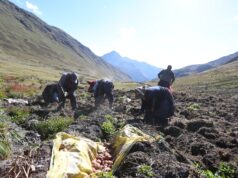 MIDAGRI: Crecimiento del sector agropecuario alcanzará los 4,2% al cierre, impulsado por mejores condiciones climáticas