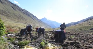 MIDAGRI: Crecimiento del sector agropecuario alcanzará los 4,2% al cierre, impulsado por mejores condiciones climáticas