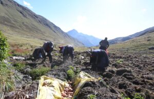 MIDAGRI: Crecimiento del sector agropecuario alcanzará los 4,2% al cierre, impulsado por mejores condiciones climáticas