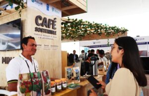Café peruano sostenible de Amazonas, Cajamarca ySan Martín mueve más de S/20 millones en negocios