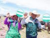 MIDAGRI culmina dos proyectos de riego tecnificado en Puno y eleva la productividad para familias agricultoras