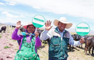 MIDAGRI culmina dos proyectos de riego tecnificado en Puno y eleva la productividad para familias agricultoras