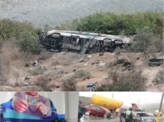 “Se necesita un cambio de conducta en los choferes y más fiscalización»