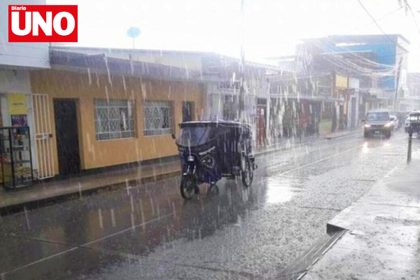 MODELO DIARIO UNO (1)