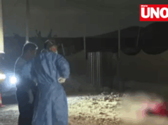 Ejecutados y torturados: hallan dos cuerpos maniatados en descampado de San Martín de Porres