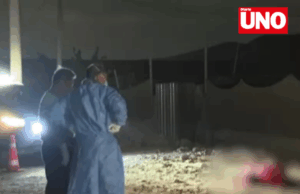 Ejecutados y torturados: hallan dos cuerpos maniatados en descampado de San Martín de Porres