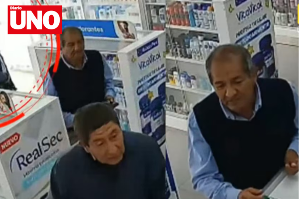 MODELO DIARIO UNO (3)