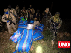 Fuerzas Armadas y Policía decomisan 210 kilos de marihuana en zona del Vraem