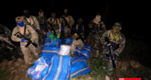 Fuerzas Armadas y Policía decomisan 210 kilos de marihuana en zona del Vraem