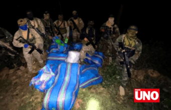 Fuerzas Armadas y Policía decomisan 210 kilos de marihuana en zona del Vraem