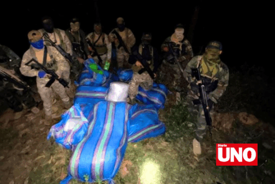 Fuerzas Armadas y Policía decomisan 210 kilos de marihuana en zona del Vraem