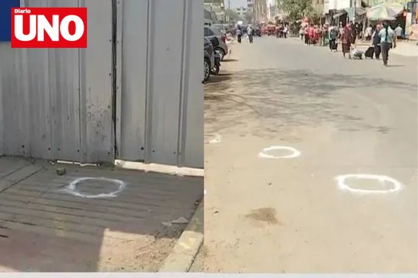 MODELO DIARIO UNO (4)