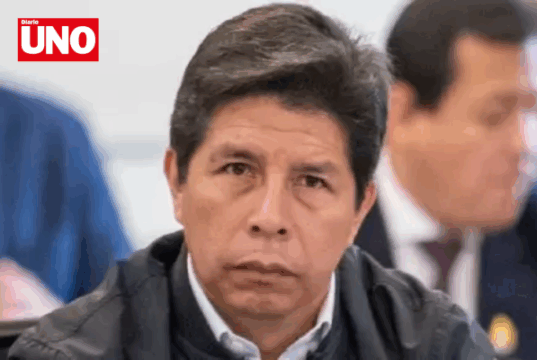 Nakazaki: denuncia de Castillo contra congresistas es una jugada electoral