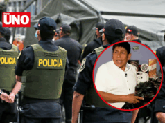 Empresario denuncia a nueve policías de la Dirincri por robo de medio millón de soles