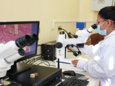 Más de 67 mil servicios tecnológicos impulsan la innovación y competitividad de las MIPYME a nivel nacional