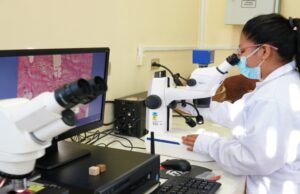 Más de 67 mil servicios tecnológicos impulsan la innovación y competitividad de las MIPYME a nivel nacional