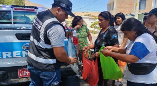 PRODUCE: más de 38 toneladas de Bonito fueron decomisadas en tres regiones por incumplimiento de veda