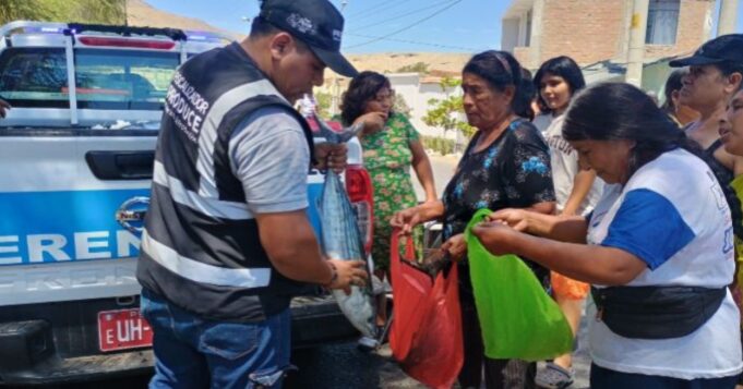 PRODUCE: más de 38 toneladas de Bonito fueron decomisadas en tres regiones por incumplimiento de veda
