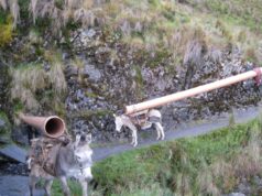 Congreso: Piden que Comisión de Presupuesto respalde obra en favor del distrito de Oronccoy en Ayacucho