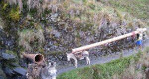 Congreso: Piden que Comisión de Presupuesto respalde obra en favor del distrito de Oronccoy en Ayacucho