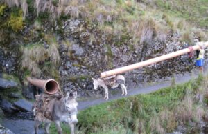 Congreso: Piden que Comisión de Presupuesto respalde obra en favor del distrito de Oronccoy en Ayacucho