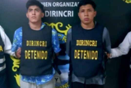 Dos ladrones fueron condenados a penas efectivas por vulnerar el sistema Apple Pay para hacer compras ilegalmente