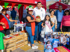 Festival de la Fresa en Pachacámac Pueblo fue todo un éxito en su 36 edición