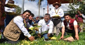 Más de 30 millones de plantones de árboles nativos serán instalados en la región Cusco al 2027