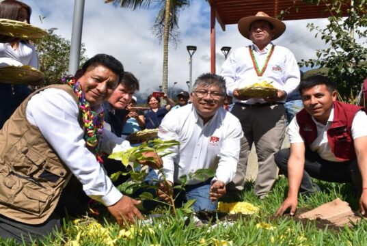 Más de 30 millones de plantones de árboles nativos serán instalados en la región Cusco al 2027