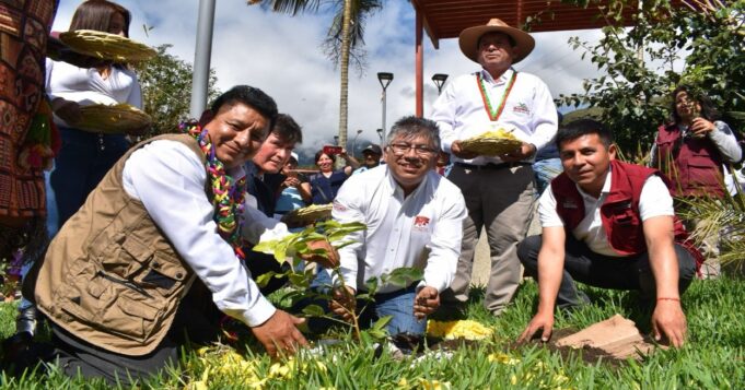 Más de 30 millones de plantones de árboles nativos serán instalados en la región Cusco al 2027