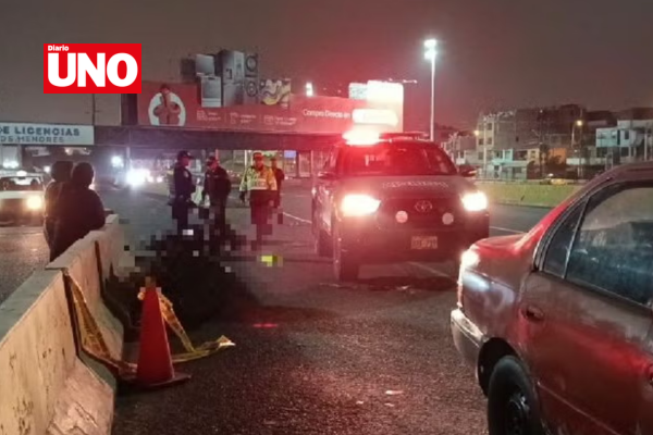 Copia de MODELO DIARIO UNO (17)