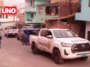 Policía detiene al padre de bebé muerta por pitbulls y a la dueña de los perros en San Juan de Lurigancho